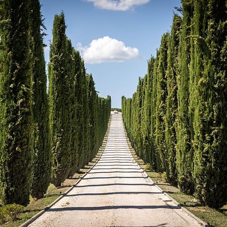 Вилла Fattoria Colsanto Torre del Colle Экстерьер фото
