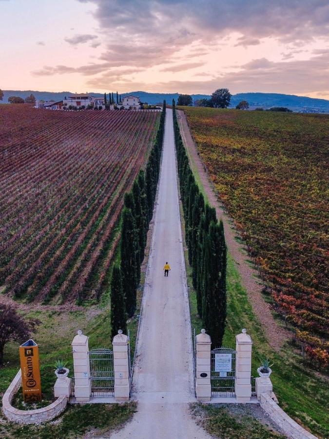 Вилла Fattoria Colsanto Torre del Colle Экстерьер фото