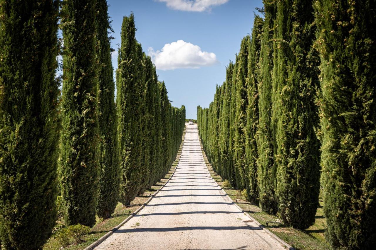 Вилла Fattoria Colsanto Torre del Colle Экстерьер фото