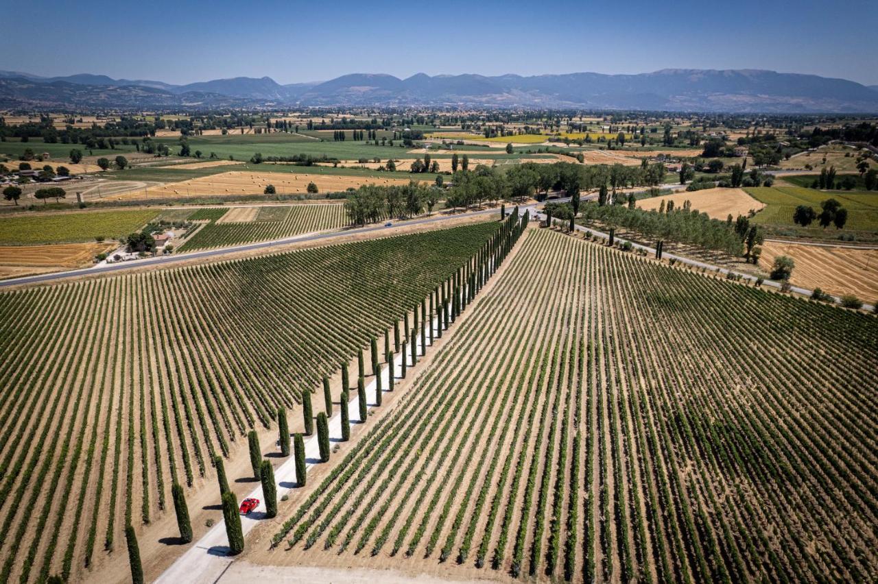 Вилла Fattoria Colsanto Torre del Colle Экстерьер фото