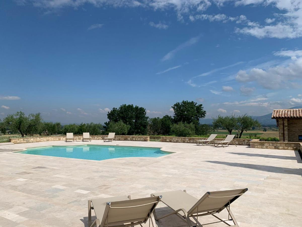 Вилла Fattoria Colsanto Torre del Colle Экстерьер фото