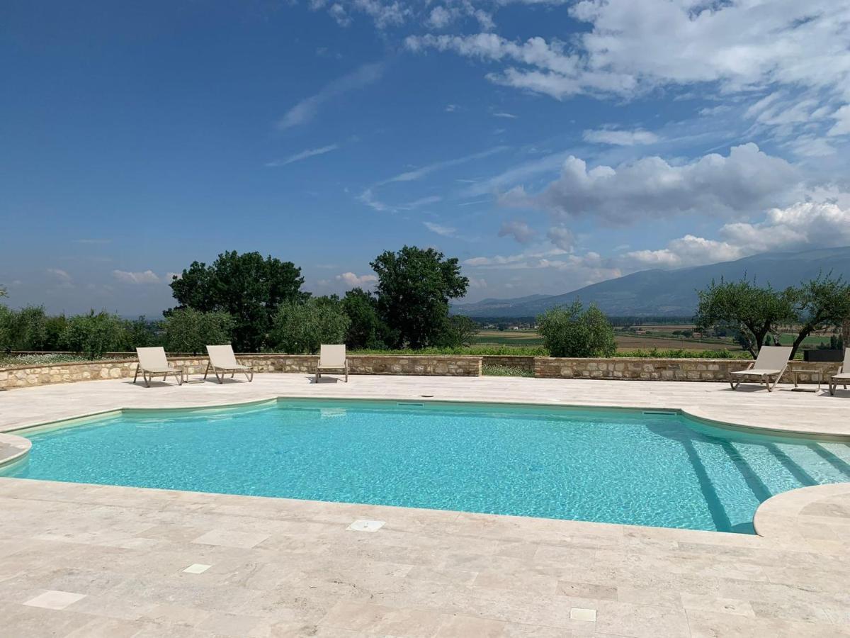 Вилла Fattoria Colsanto Torre del Colle Экстерьер фото