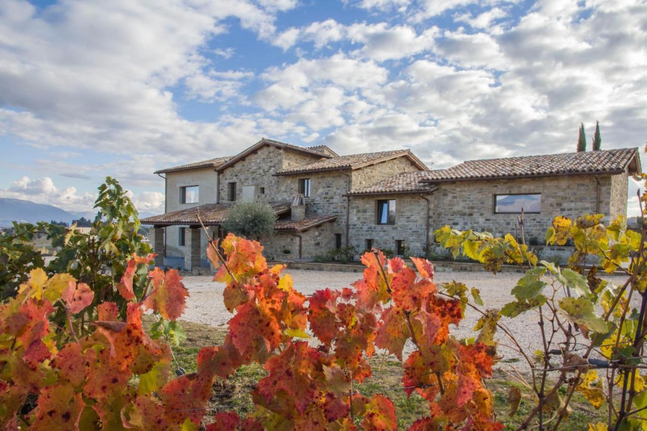 Вилла Fattoria Colsanto Torre del Colle Экстерьер фото